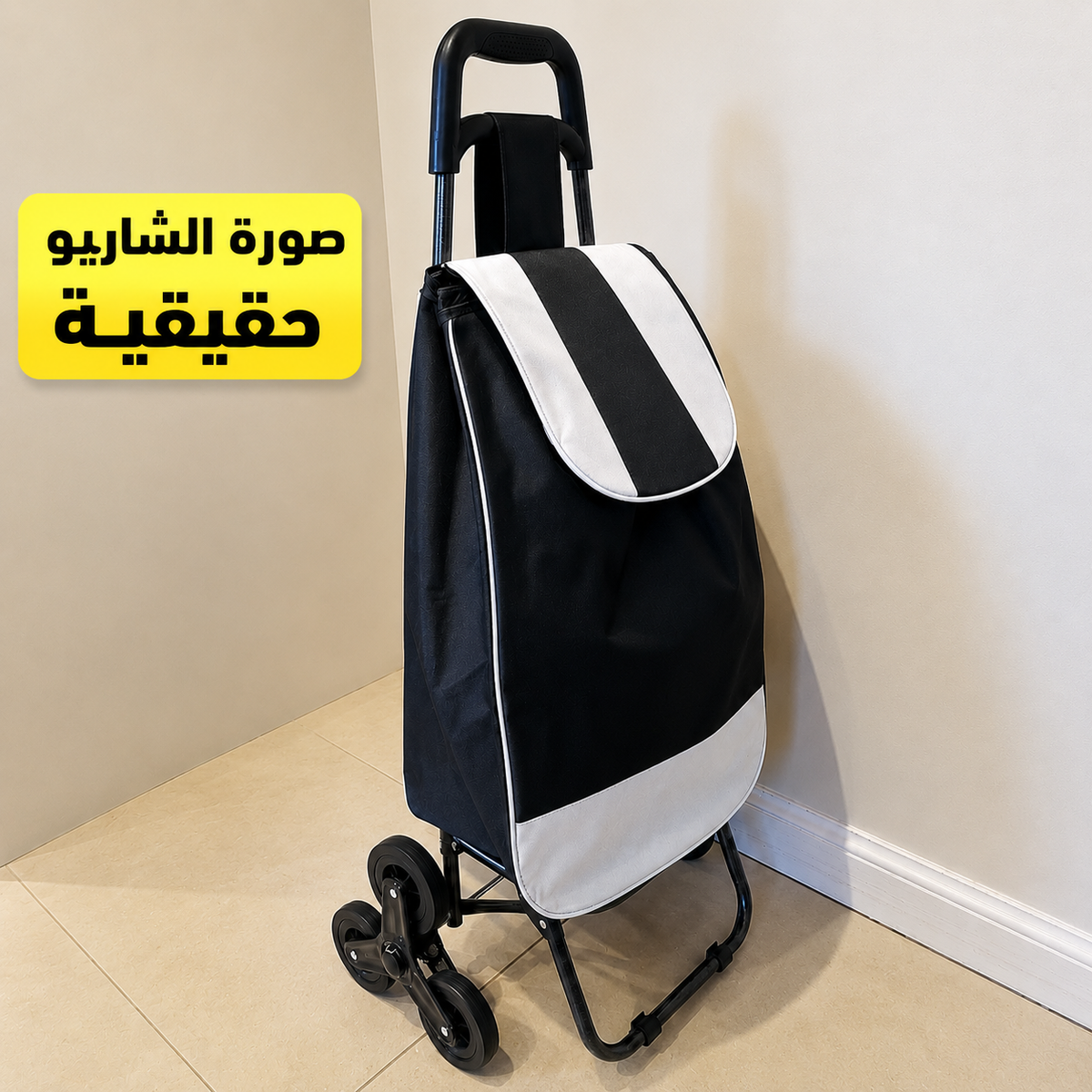 عربة التسوق ذات 6 العجلات