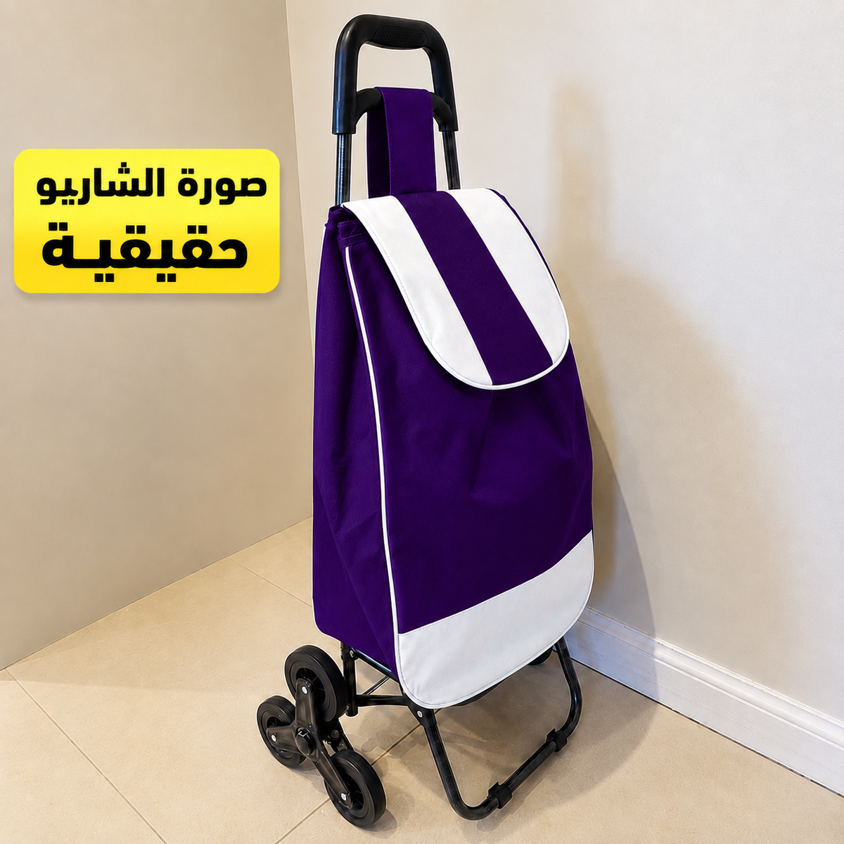 عربة التسوق ذات 6 العجلات